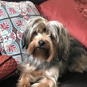 Meet your Posher, Sandra